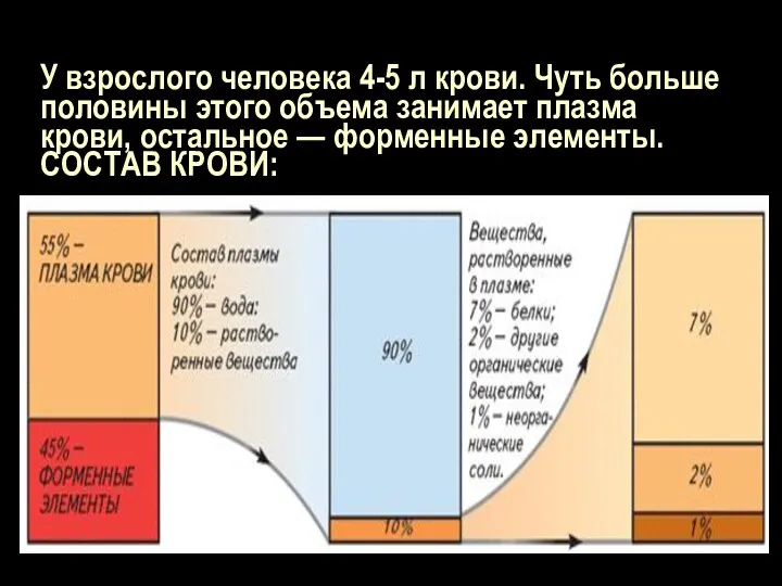 У взрослого человека 4-5 л крови. Чуть больше половины этого