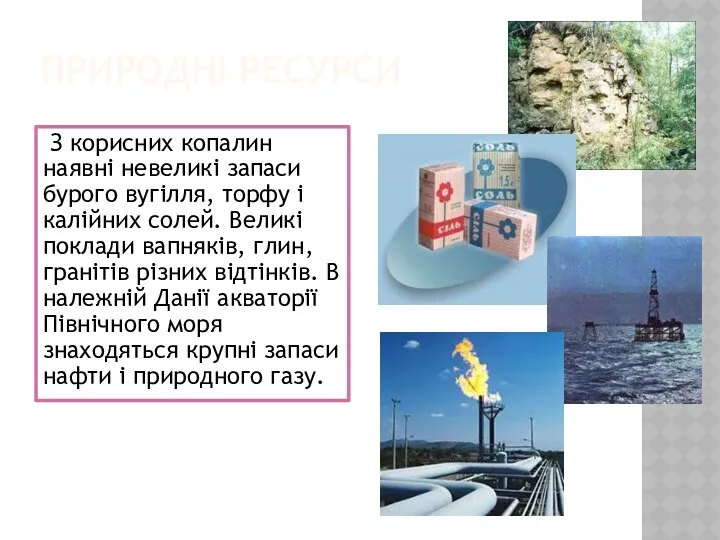 ПРИРОДНІ РЕСУРСИ З корисних копалин наявні невеликі запаси бурого вугілля,