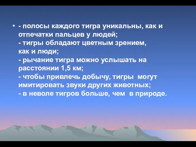 - полосы каждого тигра уникальны, как и отпечатки пальцев у