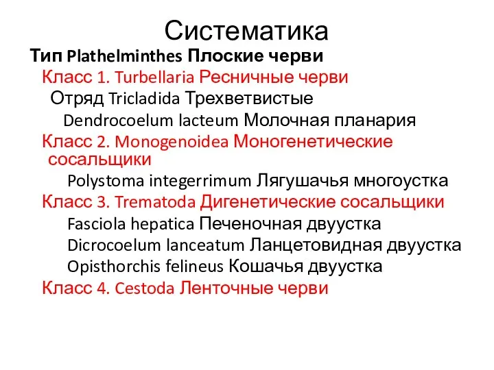 Систематика Тип Plathelminthes Плоские черви Класс 1. Turbellaria Ресничные черви