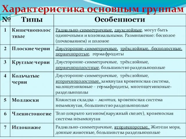 Характеристика основным группам