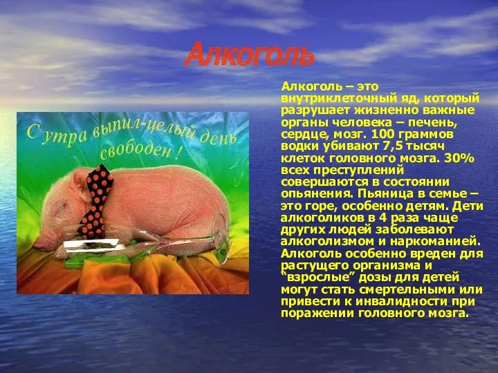 Алкоголь Алкоголь – это внутриклеточный яд, который разрушает жизненно важные