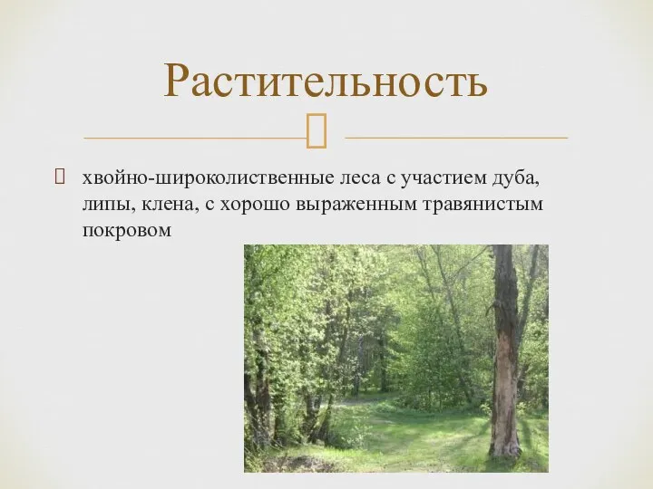 хвойно-широколиственные леса с участием дуба, липы, клена, с хорошо выраженным травянистым покровом Растительность