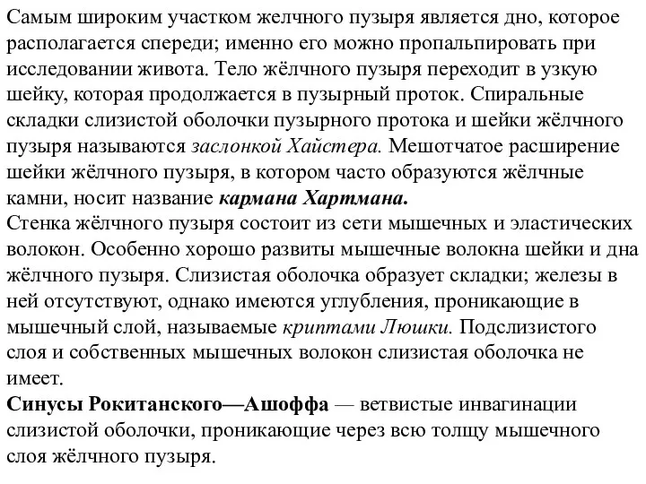 Самым широким участком желчного пузыря является дно, которое располагается спереди;