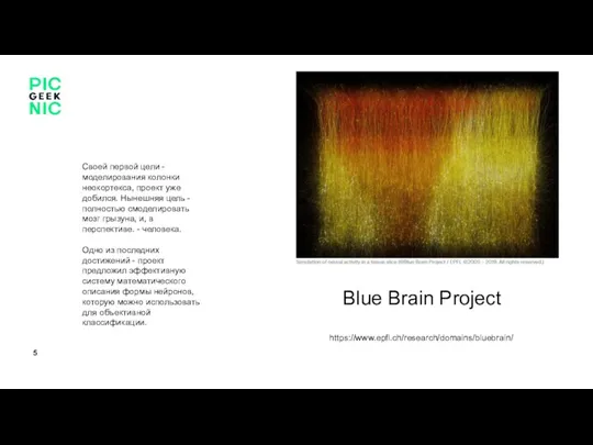 https://www.epfl.ch/research/domains/bluebrain/ Blue Brain Project Своей первой цели - моделирования колонки неокортекса, проект уже