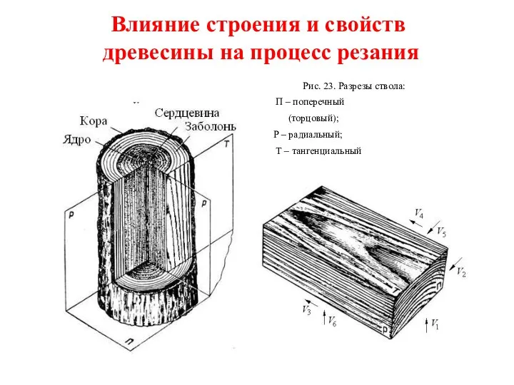 Влияние строения и свойств древесины на процесс резания Рис. 23.