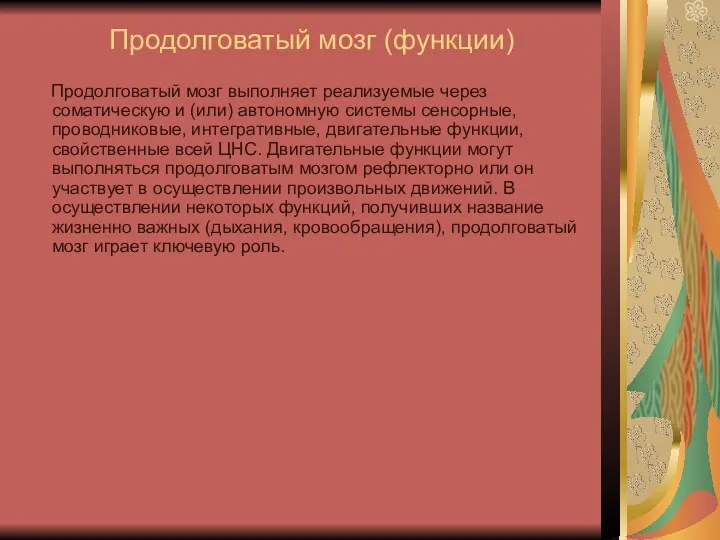 Продолговатый мозг (функции) Продолговатый мозг выполняет реализуемые через соматическую и (или) автономную системы