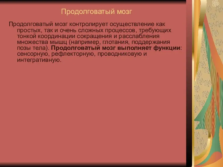 Продолговатый мозг Продолговатый мозг контролирует осуществление как простых, так и