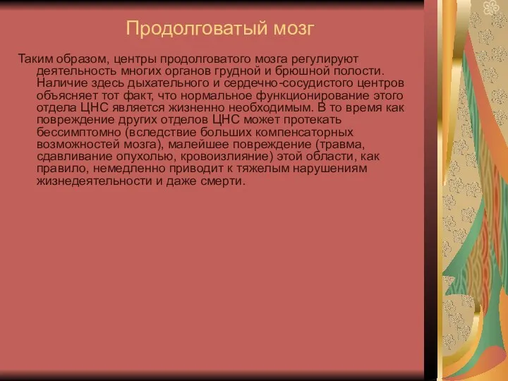 Продолговатый мозг Таким образом, центры продолговатого мозга регулируют деятельность многих органов грудной и