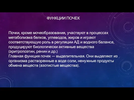 ФУНКЦИИ ПОЧЕК Почки, кроме мочеобразования, участвуют в процессах метаболизма белков,