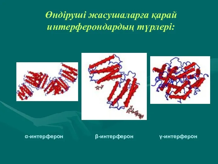 Өндіруші жасушаларға қарай интерферондардың түрлері: α-интерферон β-интерферон γ-интерферон