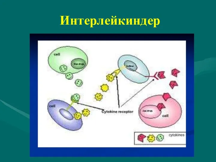 Интерлейкиндер