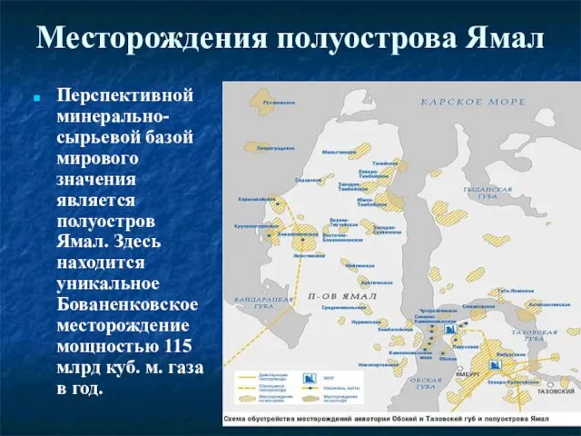 Месторождения полуострова Ямал Перспективной минерально-сырьевой базой мирового значения является полуостров