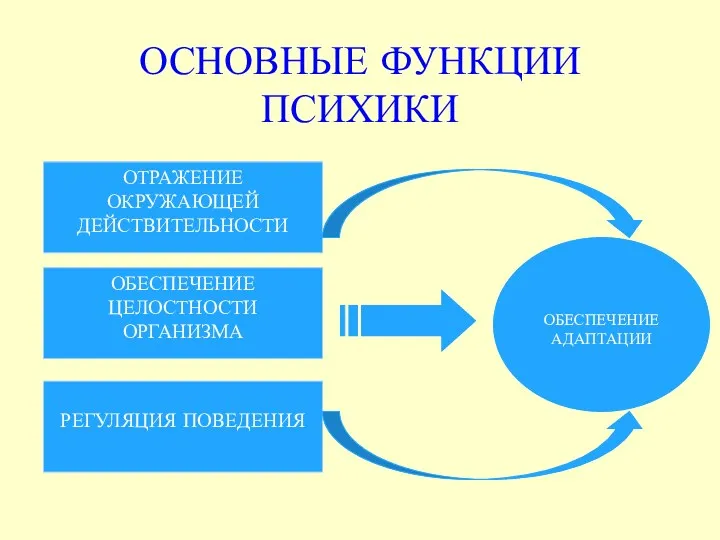 ОСНОВНЫЕ ФУНКЦИИ ПСИХИКИ