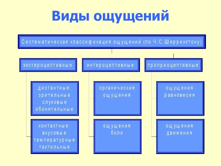 Виды ощущений