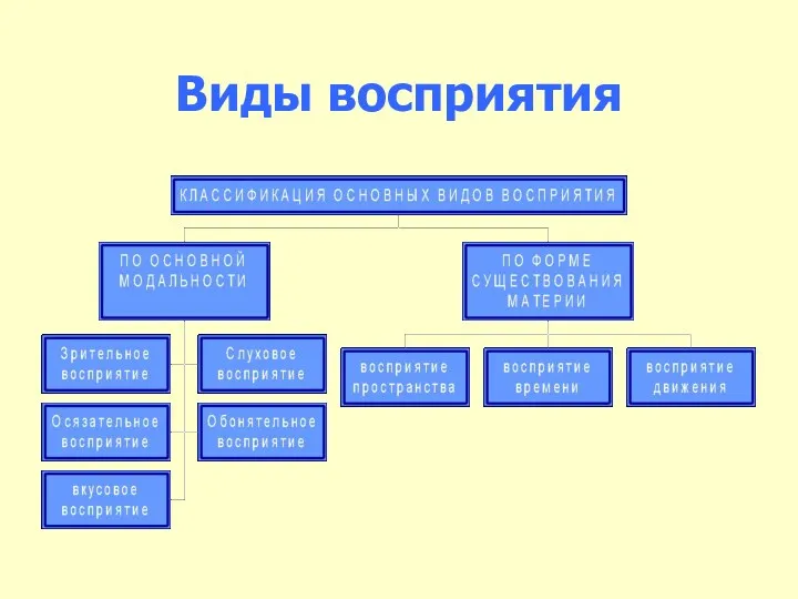 Виды восприятия