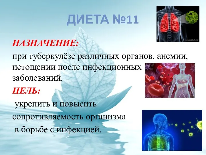 ДИЕТА №11 НАЗНАЧЕНИЕ: при туберкулёзе различных органов, анемии, истощении после