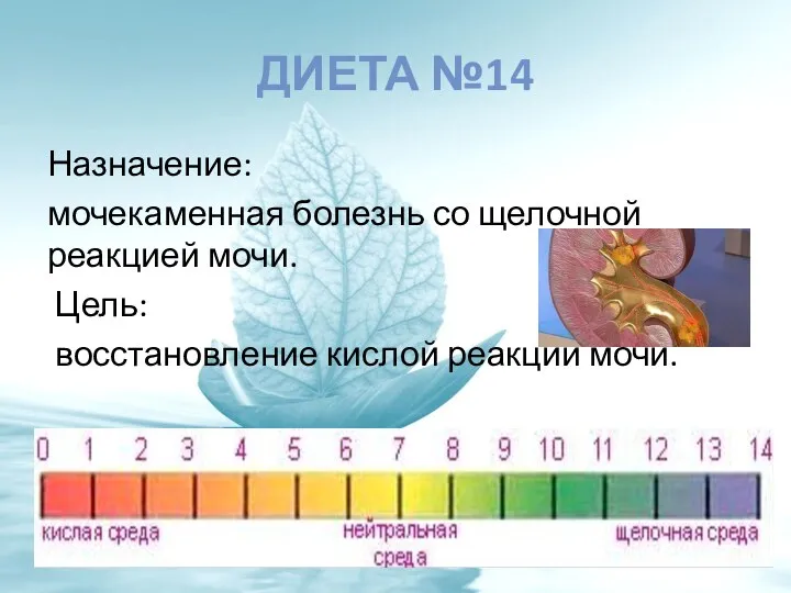 ДИЕТА №14 Назначение: мочекаменная болезнь со щелочной реакцией мочи. Цель: восстановление кислой реакции мочи.