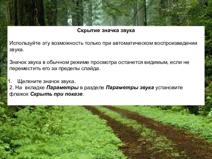 Скрытие значка звука Используйте эту возможность только при автоматическом воспроизведении