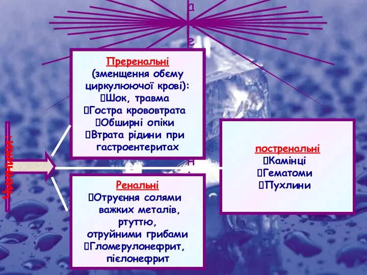 Гостра ниркова недостатність: Чинники: Преренальні (зменщення обєму циркулюючої крові): Шок,