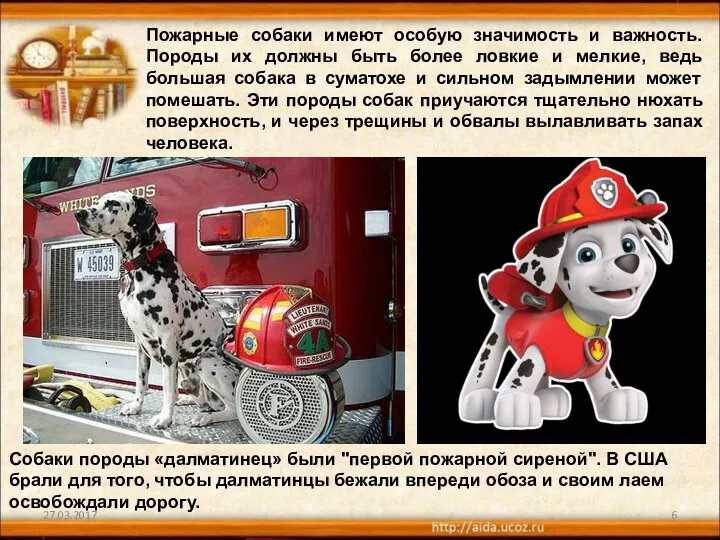 Пожарные собаки имеют особую значимость и важность. Породы их должны