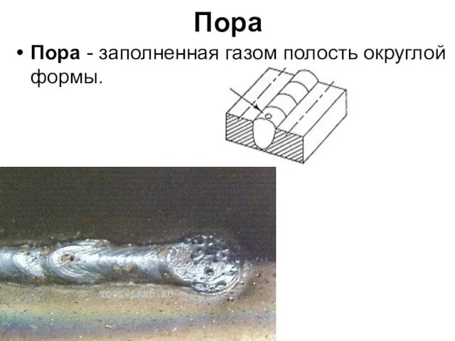 Пора Пора - заполненная газом полость округлой формы.