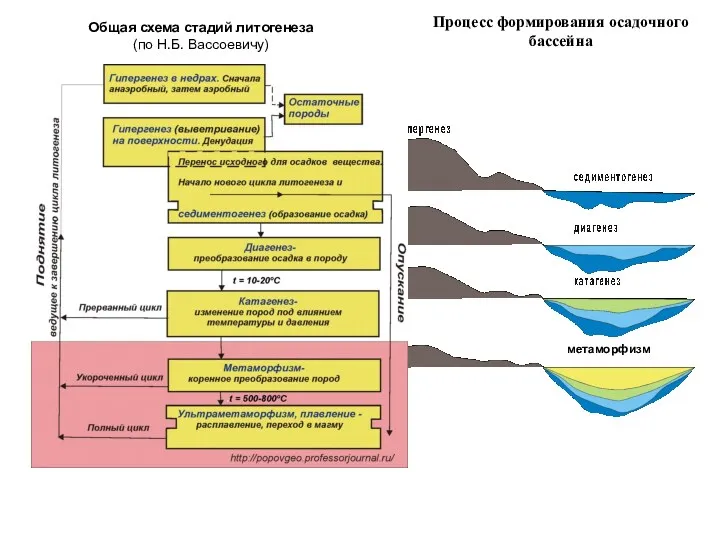 Процесс формирования осадочного бассейна Общая схема стадий литогенеза (по Н.Б. Вассоевичу)