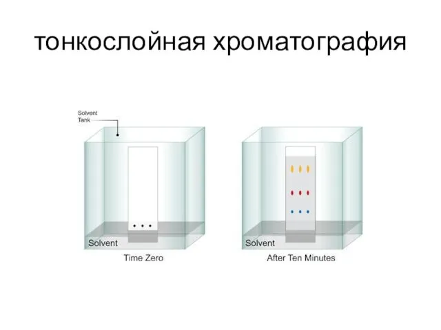 тонкослойная хроматография