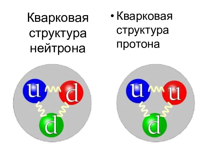 Кварковая структура нейтрона Кварковая структура протона