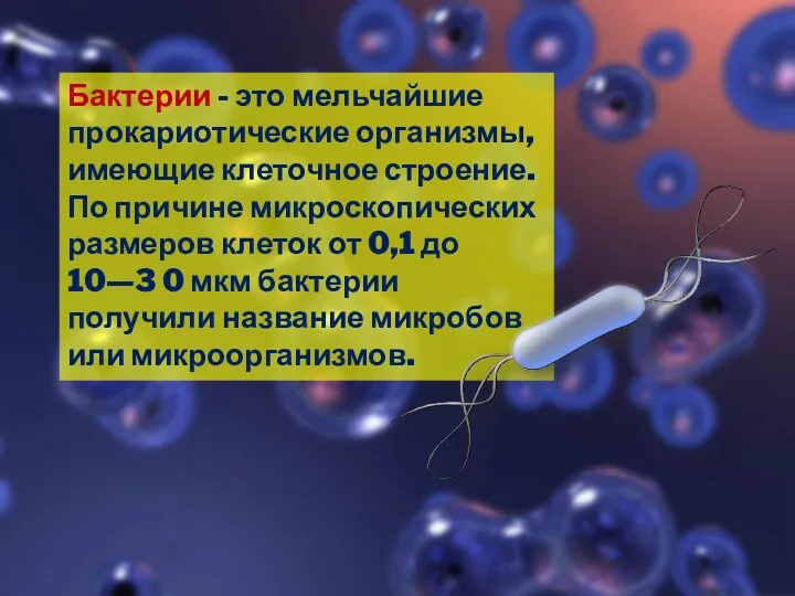 Бактерии - это мельчайшие прокариотические организмы, имеющие клеточное строение. По