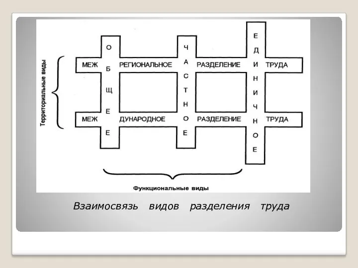 Взаимосвязь видов разделения труда