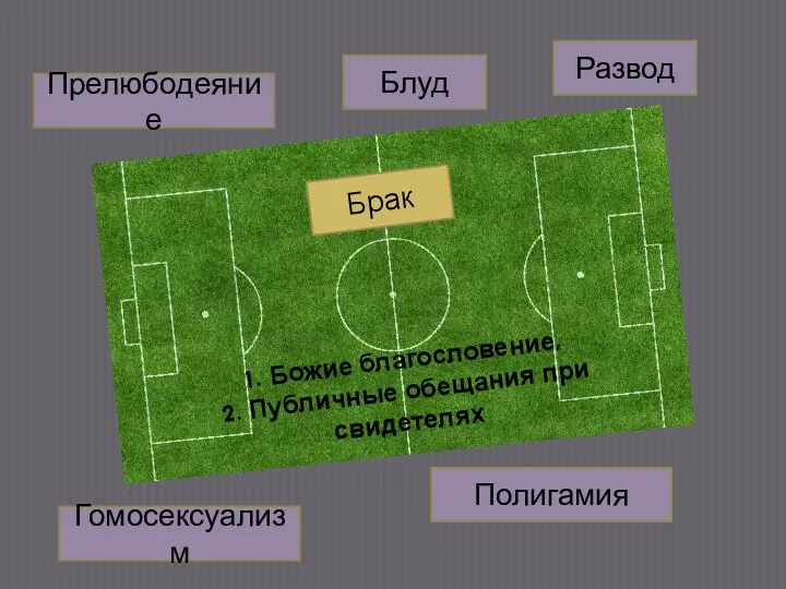 1. Божие благословение, 2. Публичные обещания при свидетелях Брак Прелюбодеяние Блуд Развод Гомосексуализм Полигамия