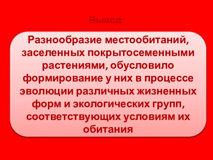 Вывод: Разнообразие местообитаний, заселенных покрытосеменными растениями, обусловило формирование у них