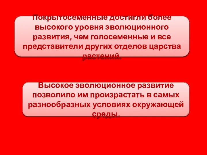 Покрытосеменные достигли более высокого уровня эволюционного развития, чем голосеменные и