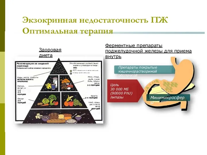 Экзокринная недостаточность ПЖ Оптимальная терапия Здоровая диета Ферментные препараты поджелудочной