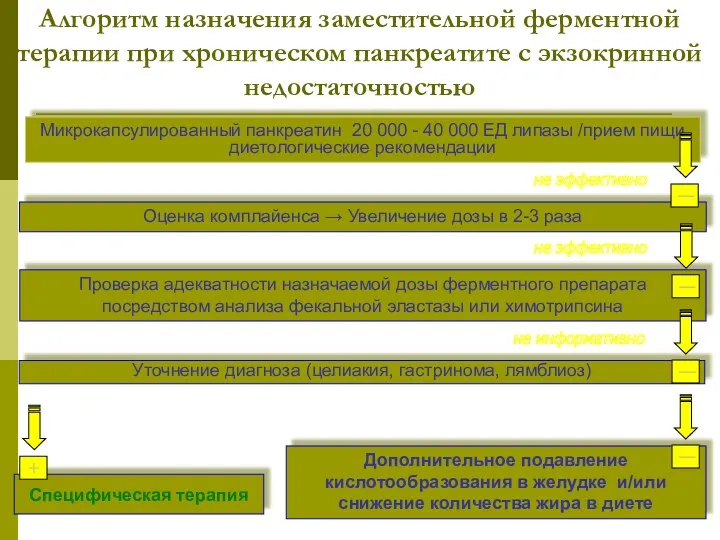 Алгоритм назначения заместительной ферментной терапии при хроническом панкреатите с экзокринной