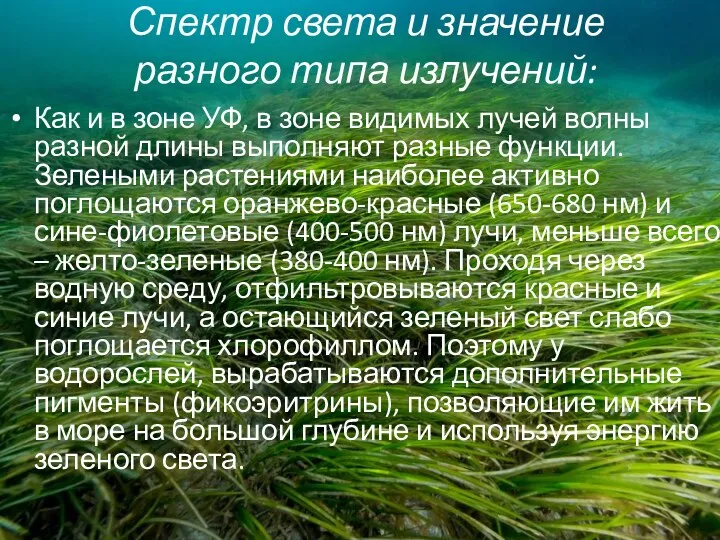 Спектр света и значение разного типа излучений: Как и в