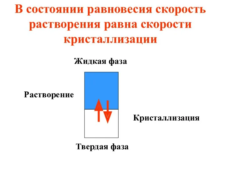 В состоянии равновесия скорость растворения равна скорости кристаллизации Жидкая фаза Твердая фаза Растворение Кристаллизация