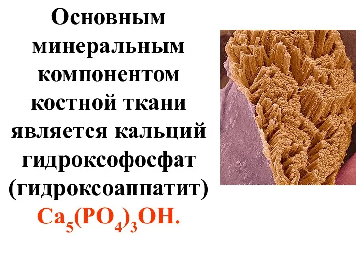 Основным минеральным компонентом костной ткани является кальций гидроксофосфат (гидроксоаппатит) Са5(РО4)3ОН.