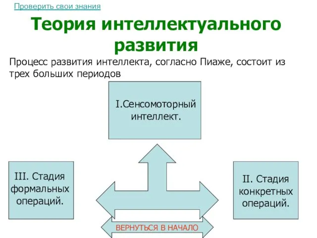 Теория интеллектуального развития Процесс развития интеллекта, согласно Пиаже, состоит из