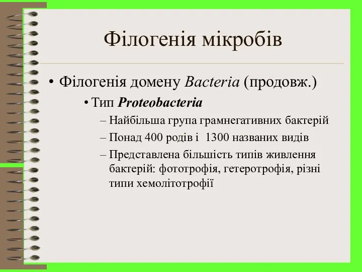 Філогенія мікробів Філогенія домену Bacteria (продовж.) Тип Proteobacteria Найбільша група
