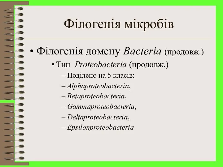 Філогенія мікробів Філогенія домену Bacteria (продовж.) Тип Proteobacteria (продовж.) Поділено