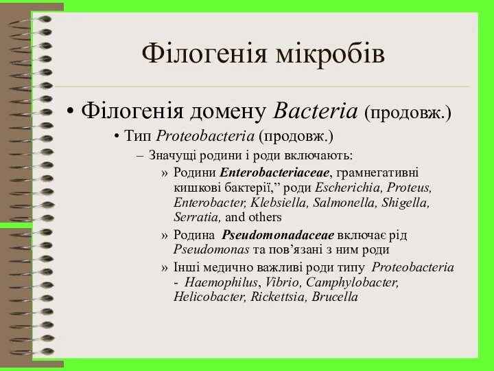 Філогенія мікробів Філогенія домену Bacteria (продовж.) Тип Proteobacteria (продовж.) Значущі