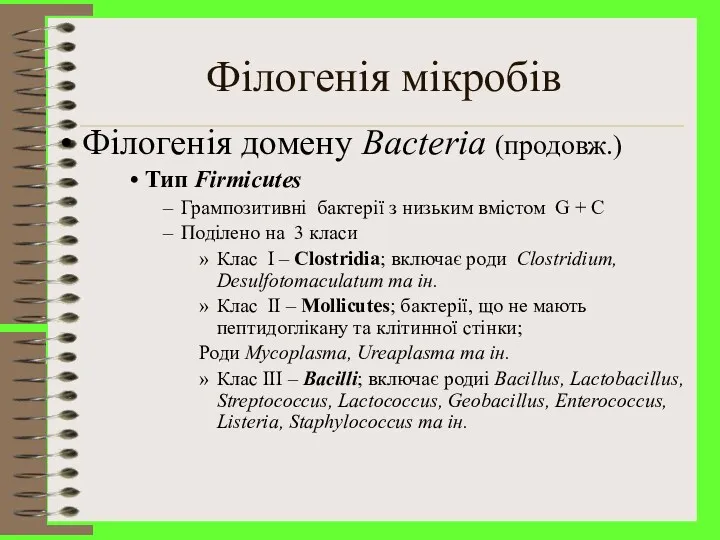 Філогенія мікробів Філогенія домену Bacteria (продовж.) Тип Firmicutes Грампозитивні бактерії