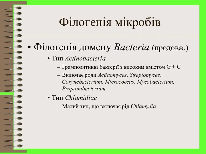 Філогенія мікробів Філогенія домену Bacteria (продовж.) Тип Actinobacteria Грампозитинві бактерії