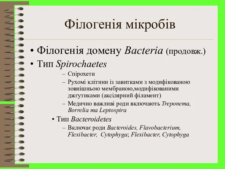 Філогенія мікробів Філогенія домену Bacteria (продовж.) Тип Spirochaetes Спірохети Рухомі