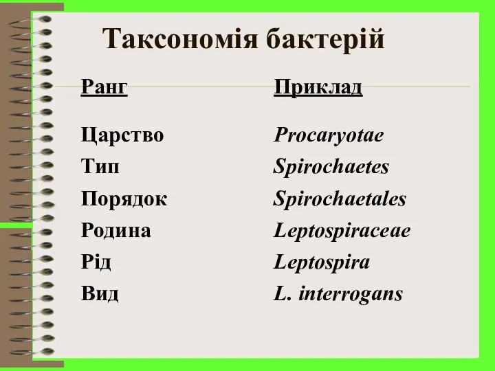 Таксономія бактерій