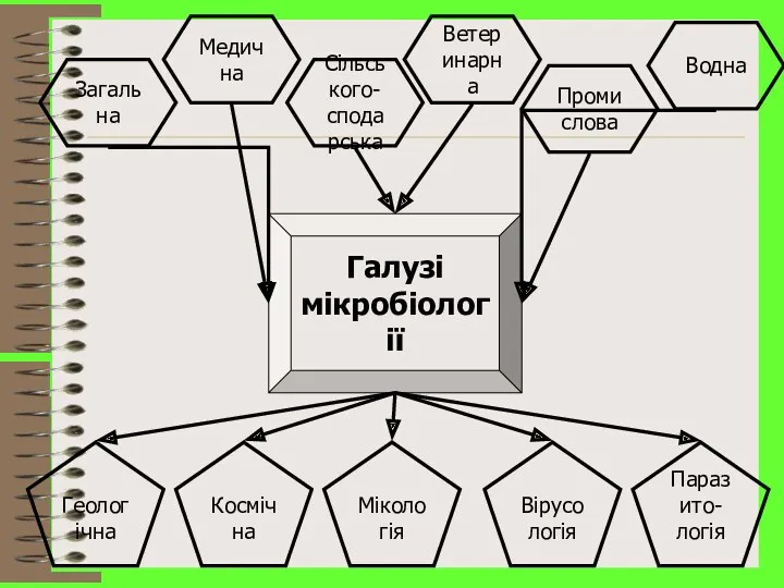 Загальна Медична Сільського- сподарська Промислова Ветеринарна Водна Галузі мікробіології Геологічна Космічна Мікологія Вірусологія Паразито- логія