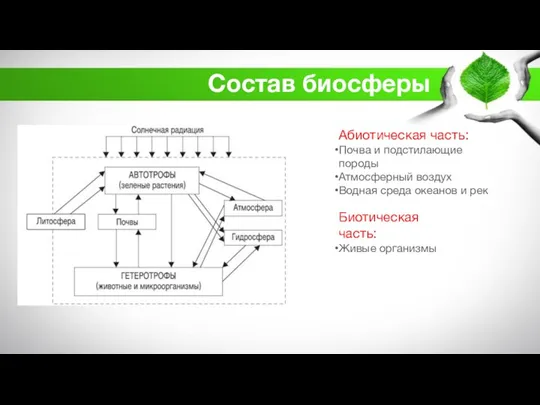 Состав биосферы Абиотическая часть: Почва и подстилающие породы Атмосферный воздух