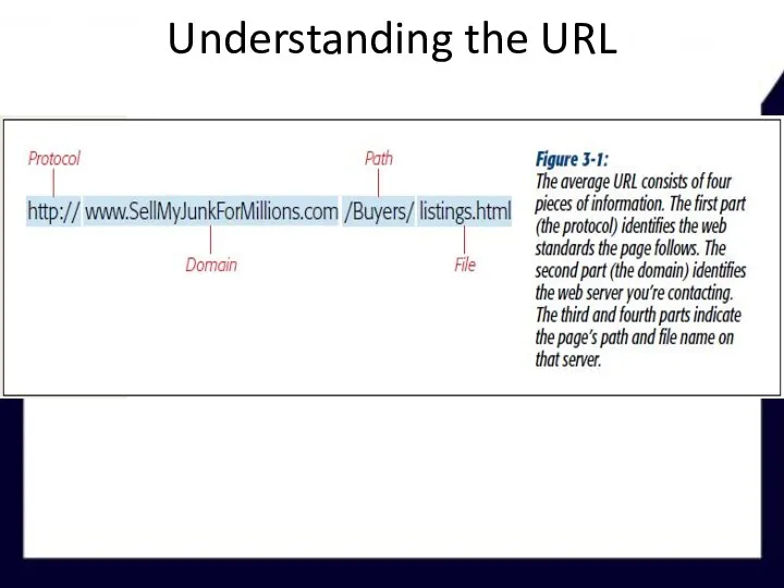 Understanding the URL
